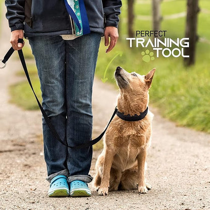 Ram-Pro Dog Training Collar Small Pinch Collar - Image 3