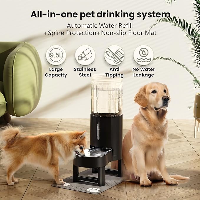 CZPET Elevated Dog Water Bowl Dispenser - Image 2