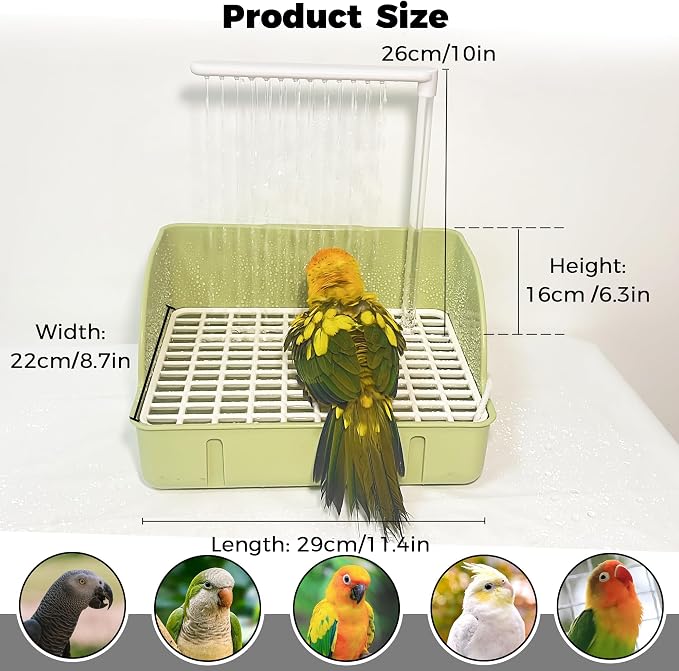 Automatic Parakeet Bird Bath - Image 6