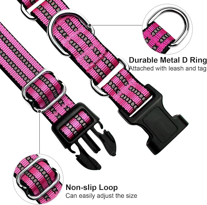 Martingale Dog Collar, Adjustable Nylon Reflective Collar - Image 3