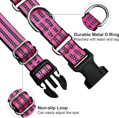 Martingale Dog Collar, Adjustable Nylon Reflective Collar - Image 3