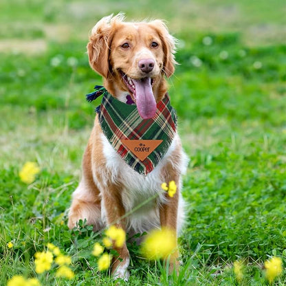 Personalized Dog Gifts Withe Name Custom Dog & Cat Bandana Personalized Pet - Image 2