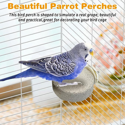 PINVNBY 8 PCS Bird Perch Parrot Beak Grinding Stone Calcium Mineral Parrot - Image 7