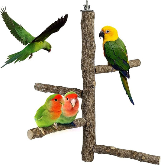 Bird Perch Stand Toy, Natural Wood Parrot Perch Bird Cage Branch Perch by Filhome