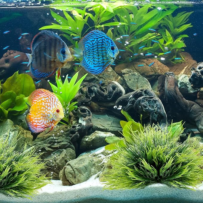 2pcs Aquarium Plants Decorations Artificial Fish Tank Plants Plastic Fish Tank - Image 6