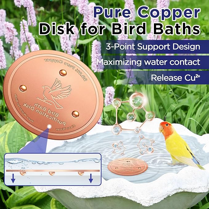 Bird Bath Copper Disk, Copper Disk - Image 5