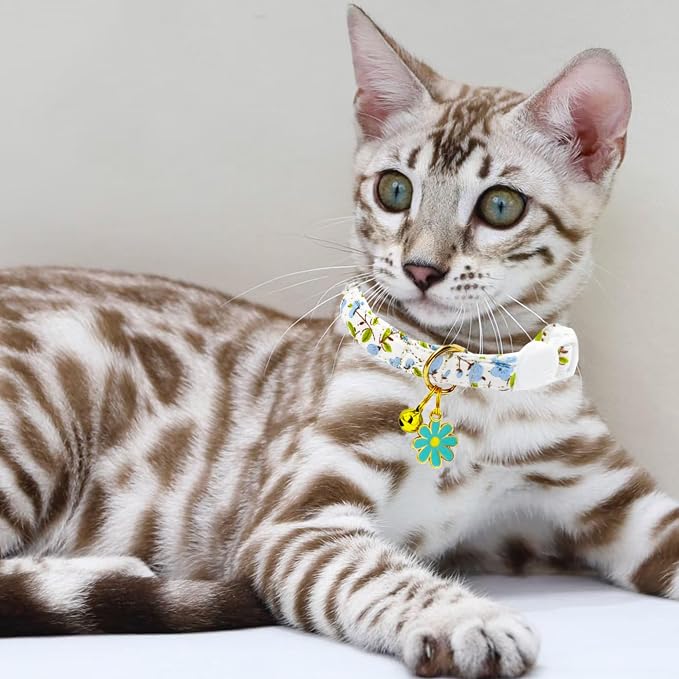 2 Pack Cotton Breakaway Cat Collars Set - Image 6