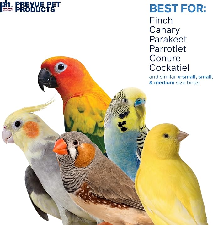 Prevue Pet Products Sound & Movement Mr. Mustache Bird Toy 62614 - Image 4