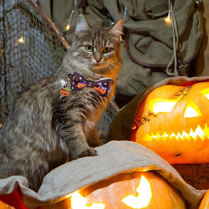 LLHK 4 Pack Halloween Cat Collar - Image 2
