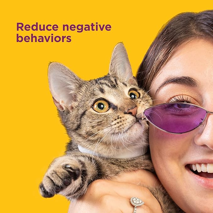 Comfort Zone Cat Calming Collar: 1 30-Day Calming Collar; Cat Pheromones Help - Image 4