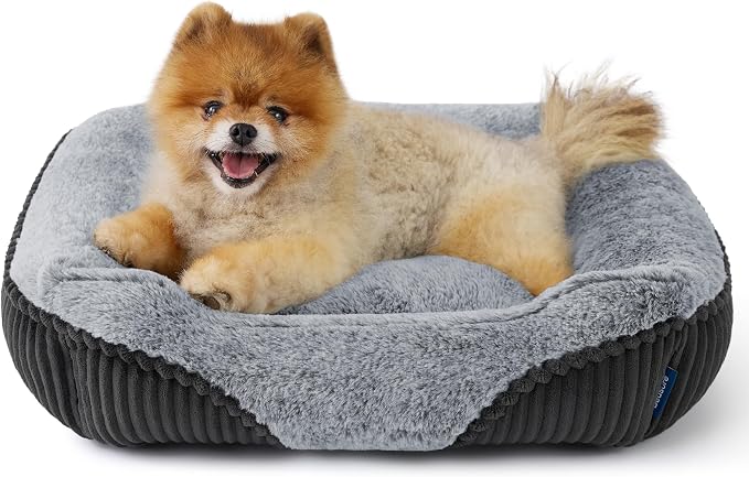 Bedsure Washable Dog Bed Small Dog＆Cat- Rectangle Fluffy Plush Kitten Puppy Bed - Image 2