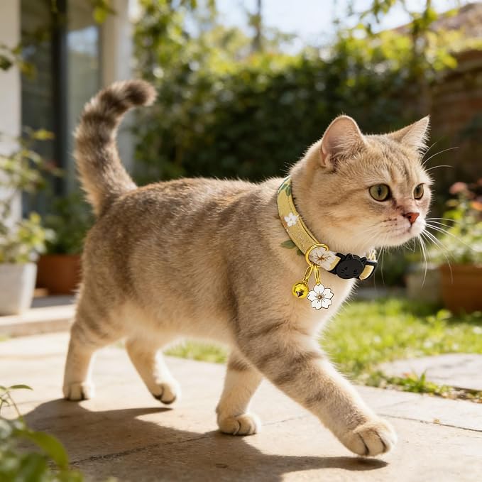 2 Pack Cotton Breakaway Cat Collars Set - Image 6