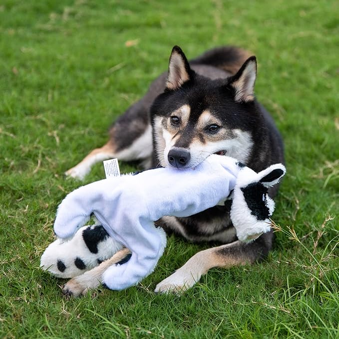 Best Pet Supplies Squeaky Dog Toys - Image 8