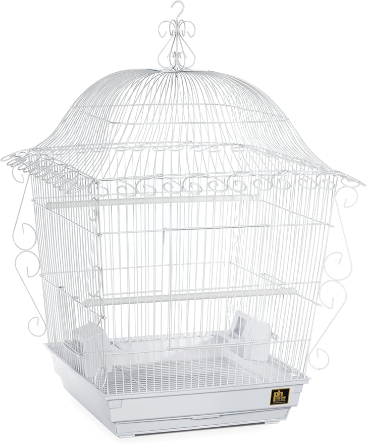 Prevue Pet Products Jumbo Scrollwork Bird Cage 220W White, 18-Inch by 18-Inch by PrevuePetProducts