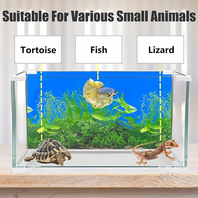 Fish Backgrounds Paper Double Sides Undersea Aquarium Background Poster - Image 4