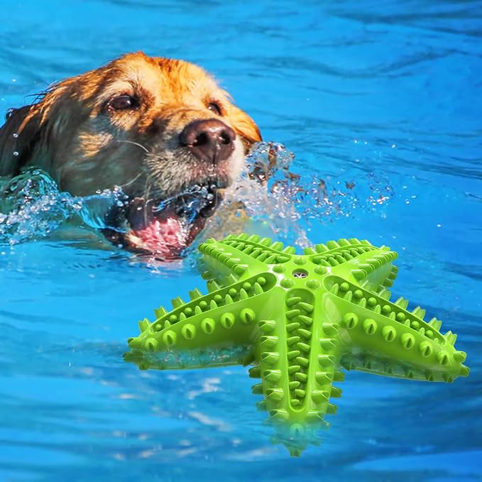 Chew Toy for Dog Toothbrush Stick Dog Toys for Aggressive Chewers Interactive - Image 3