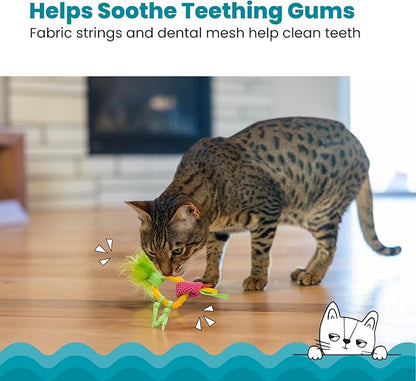Catstages Dental Pineapple Teether – Chew Toy - Image 2