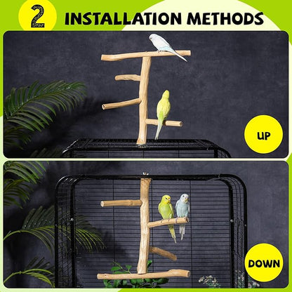 Natural Wood Bird Perch & Play Stand - Image 4
