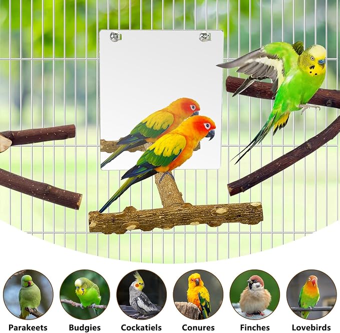 BNOSDM 5PCS Bird Perches Stand - Image 8