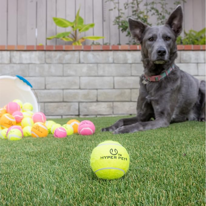 Hyper Pet Tennis Balls for Dogs - Image 5