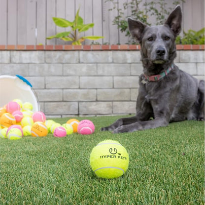 Hyper Pet Tennis Balls for Dogs, Pet Safe Dog Toys for Exercise and Training - Image 4