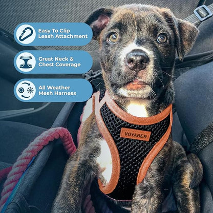 Best Pet Supplies - Image 3