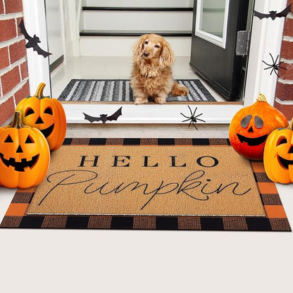 Tinideya 2 Pcs Door Mat Welcome Non Slip Coir Mats Floor Layering Doormats - Image 6