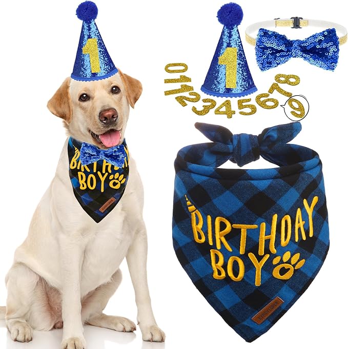 EXPAWLORER Dog Birthday Party Supplies by EXPAWLORER