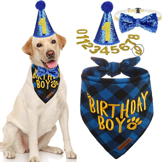 EXPAWLORER Dog Birthday Party Supplies by EXPAWLORER