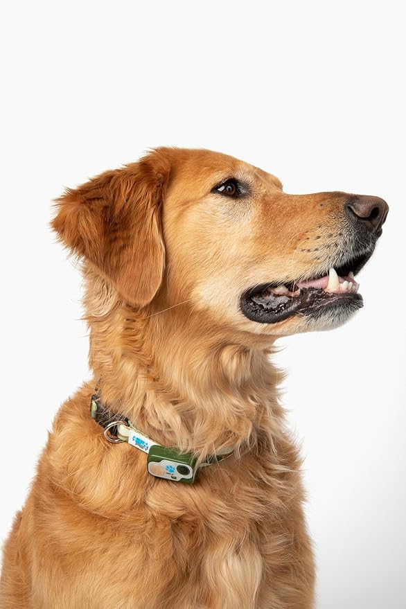 MS-5 Designer Series, Premium Performance Automatic Pet Door Collar by High - Image 2