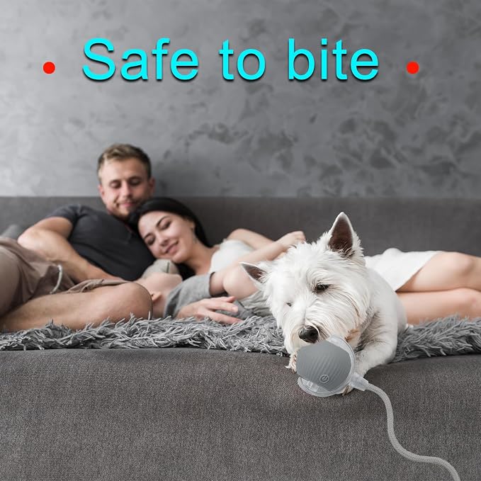 Interactive Cat Dog Toy Ball: Indoor Small Automatic Moving Smart Rolling Fun - Image 7