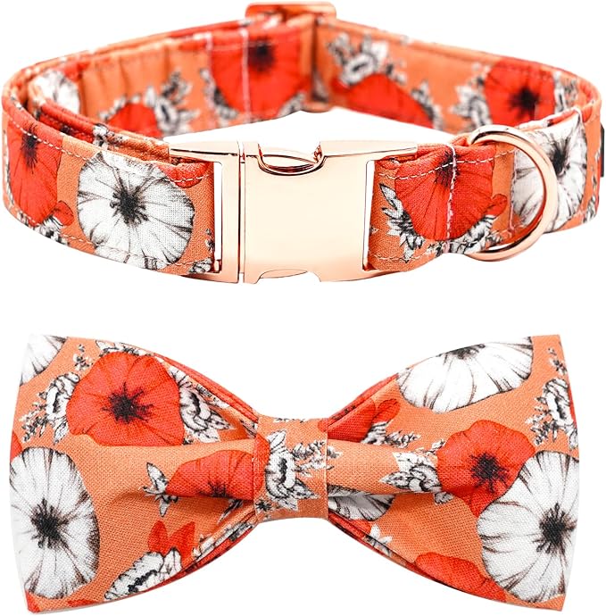 Fall Dog Collar, Pet Collar Bow Floral Pet Collar Girl Boy Holiday Collars Gift by BoboRainbow