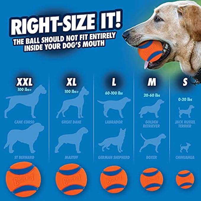 Chuckit! Ultra Ball Dog Toy - Image 6