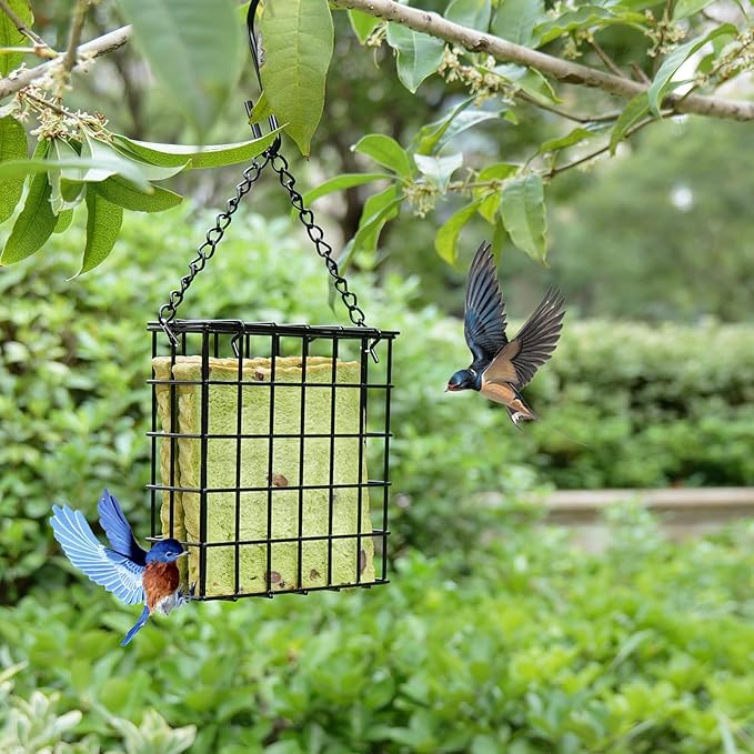 2Pcs Outdoor Suet Cage Bird Feeder, Wild Bird Feeder, Single Suet Cake Capacity - Image 5