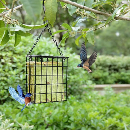 2Pcs Outdoor Suet Cage Bird Feeder, Wild Bird Feeder, Single Suet Cake Capacity - Image 5