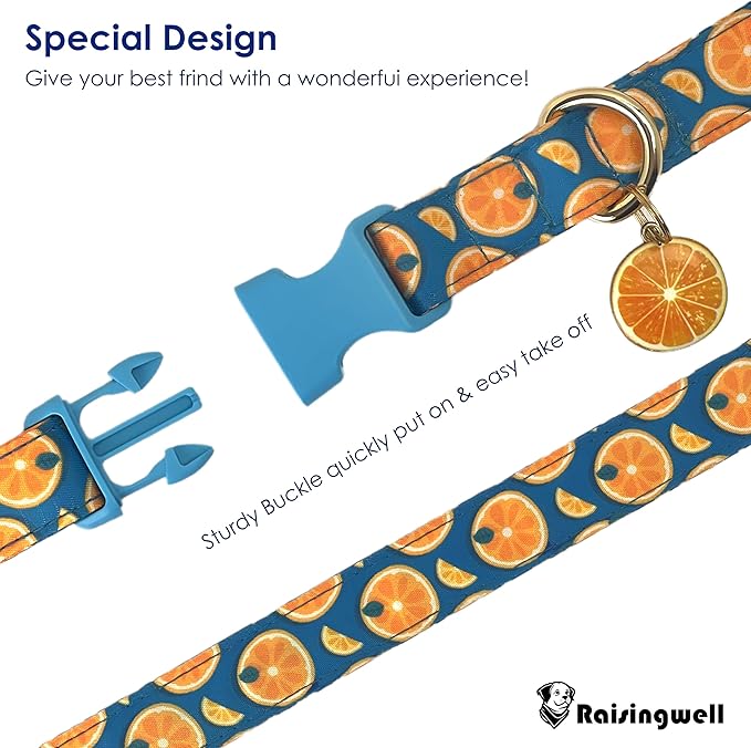 Cute Dog Collar Fruit Orange Pattern - Image 4