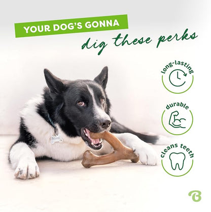 Benebone Wishbone Durable Dog Chew Toy - Image 3