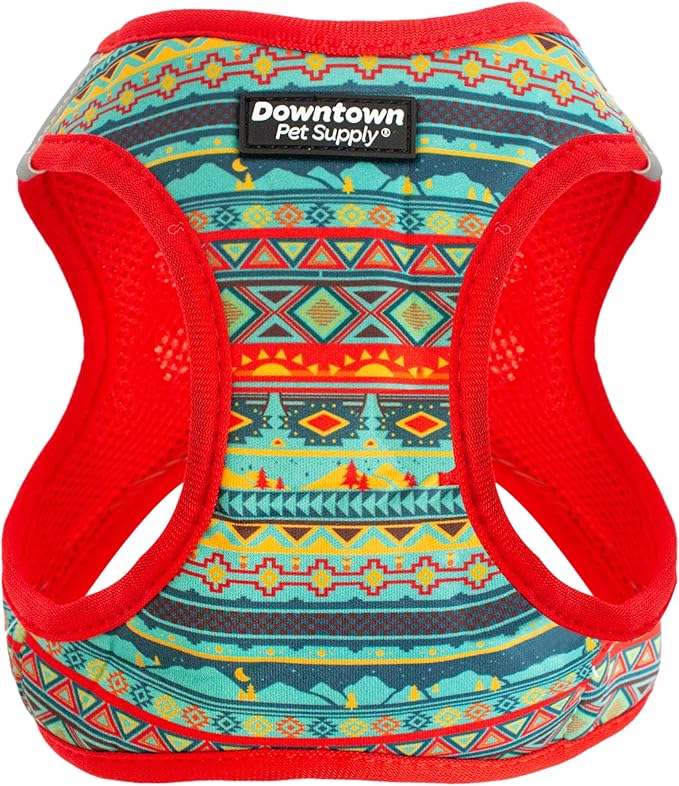 Downtown Pet Supply Step-in Dog Harness – No Pull, Adjustable Padded Mesh by DowntownPetSupply