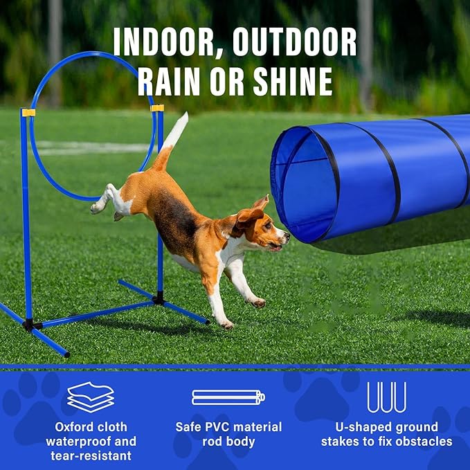 Dog Agility Training Equipment, Dog Agility Course Backyard Set - Image 2
