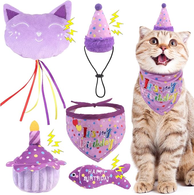 BINGPET Cat Birthday Catnip Toys by BINGPET