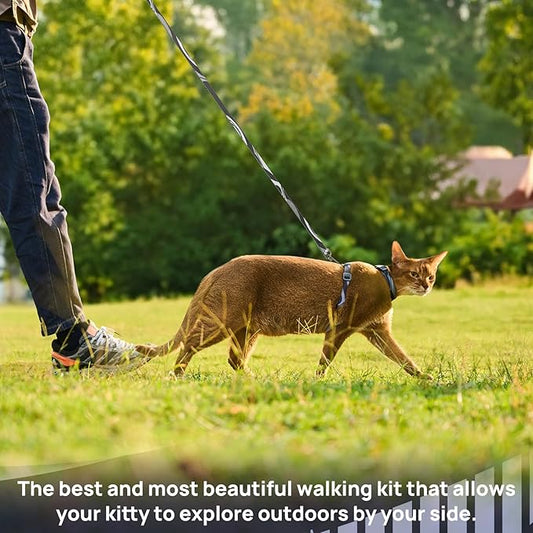 Cat Harness and Leash Set - Image 2