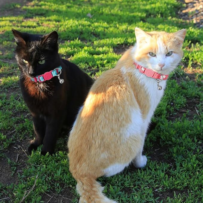 azuza 4 Pack Breakaway Cat Collar - Image 3