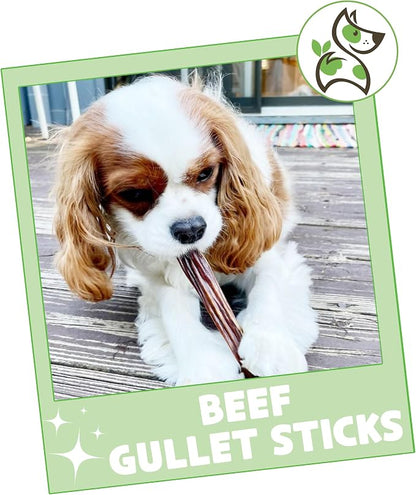 Nature Gnaws Beef Gullet Sticks - Image 7