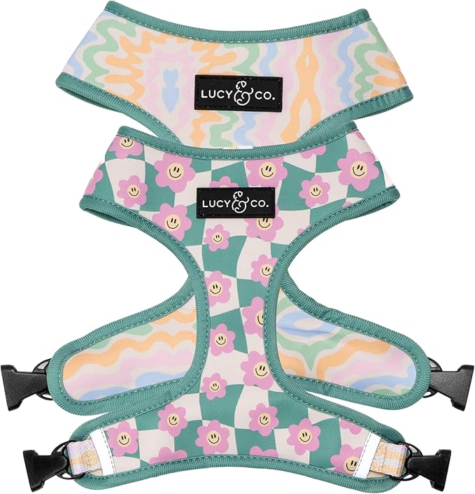 Lucy & Co. Cute Reversible Dog Harness Walking Halter by LucyCo