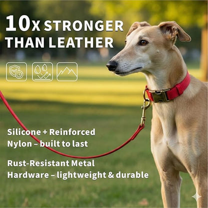 Silicone Dog Collar and Leash Set, Waterproof & Odor-Proof Puppy Collar - Image 2