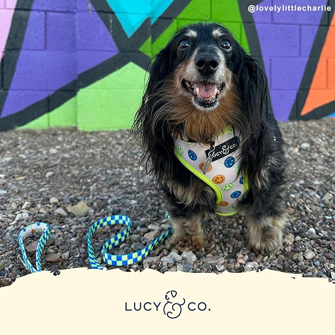 Lucy & Co. Lime Green with Blue Checker Smiley Faces, Cute Reversible Dog - Image 5