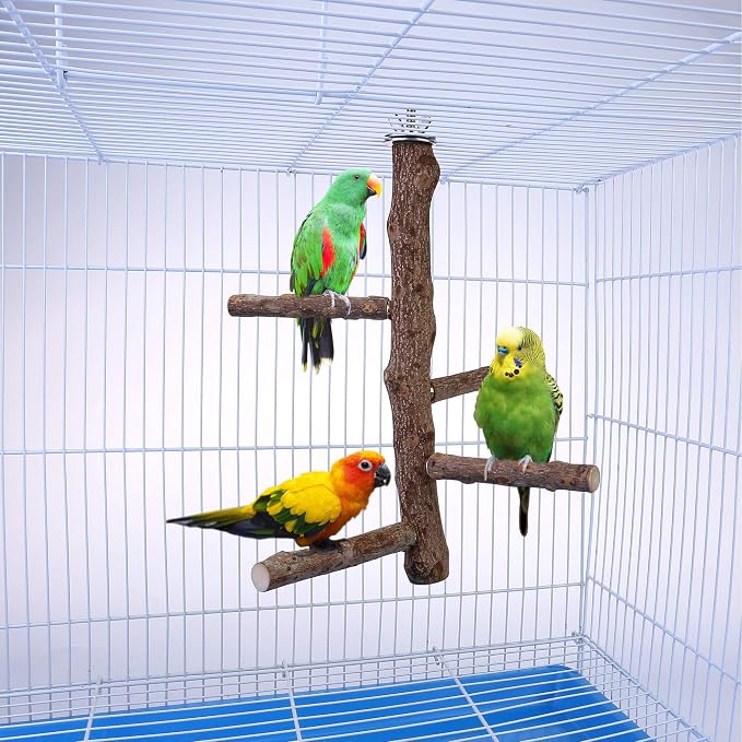 Bird Perch Stand Toy, Natural Wood Parrot Perch Bird Cage Branch Perch - Image 4