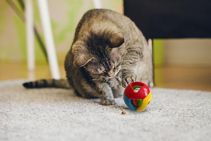 SIMENA Parrot Ball Toy with Bell, Cage Hanging Accessories - Image 6