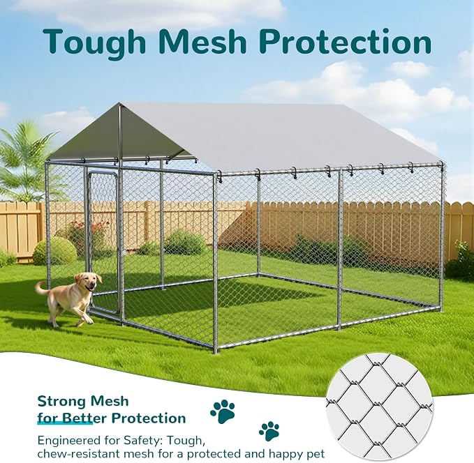 10'x10' Large Outdoor Dog Kennel Outside - Image 4
