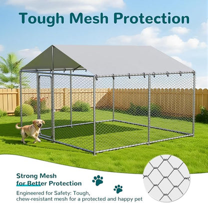 10'x10' Large Outdoor Dog Kennel Outside - Image 4